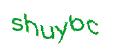 Captcha 画像