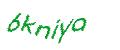 Captcha 画像